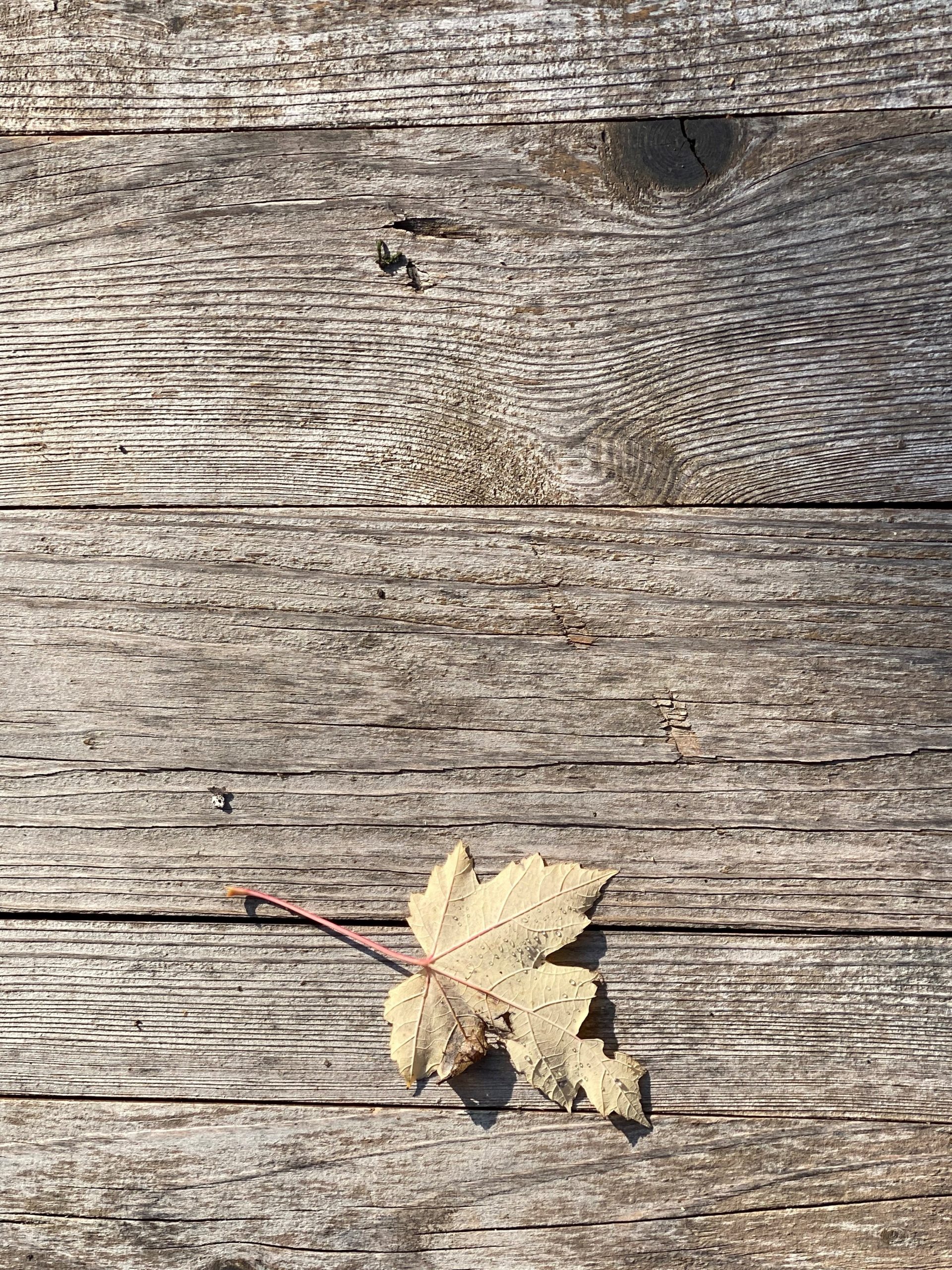 Hintergrund4